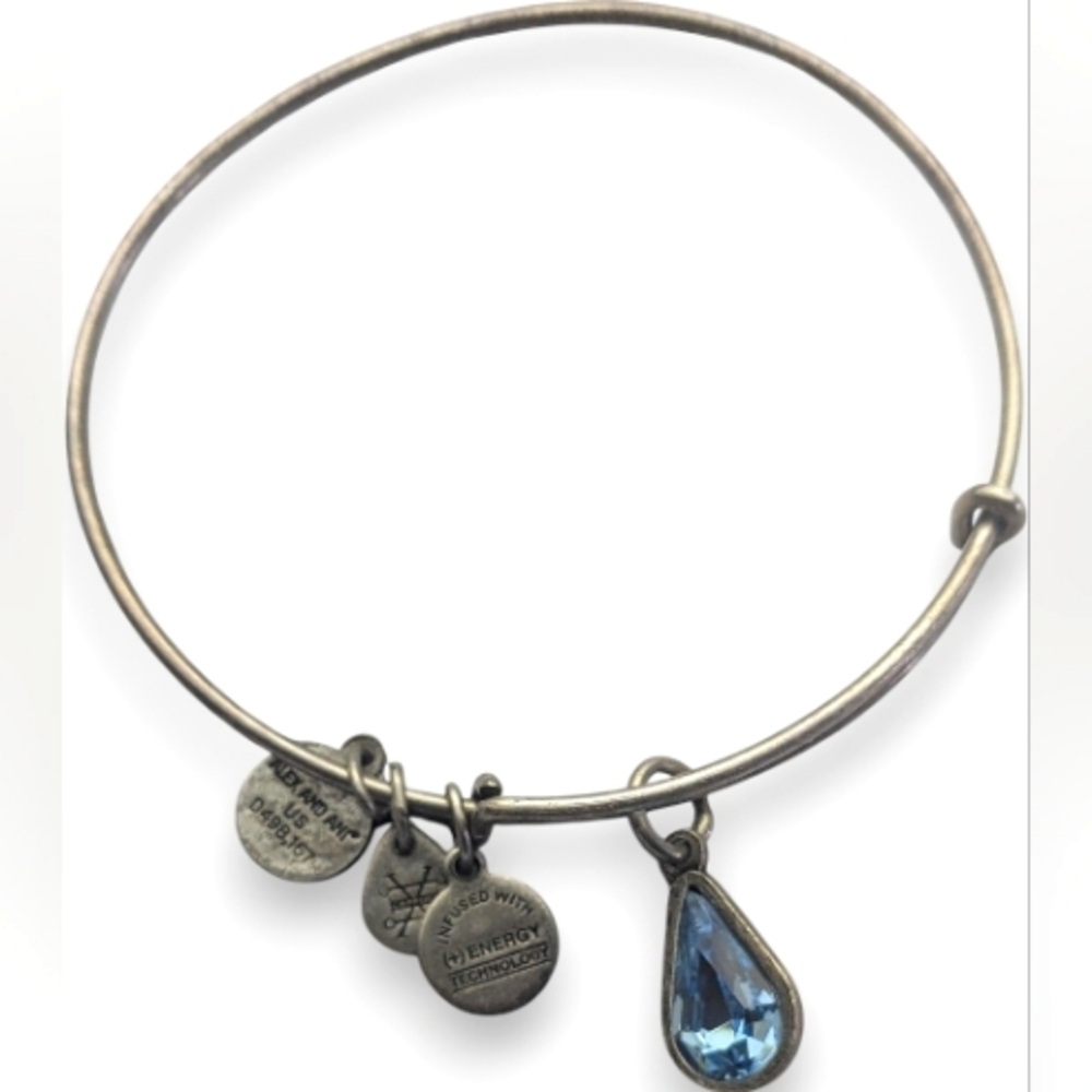 Alex and Ani Living Water Charm Bangle